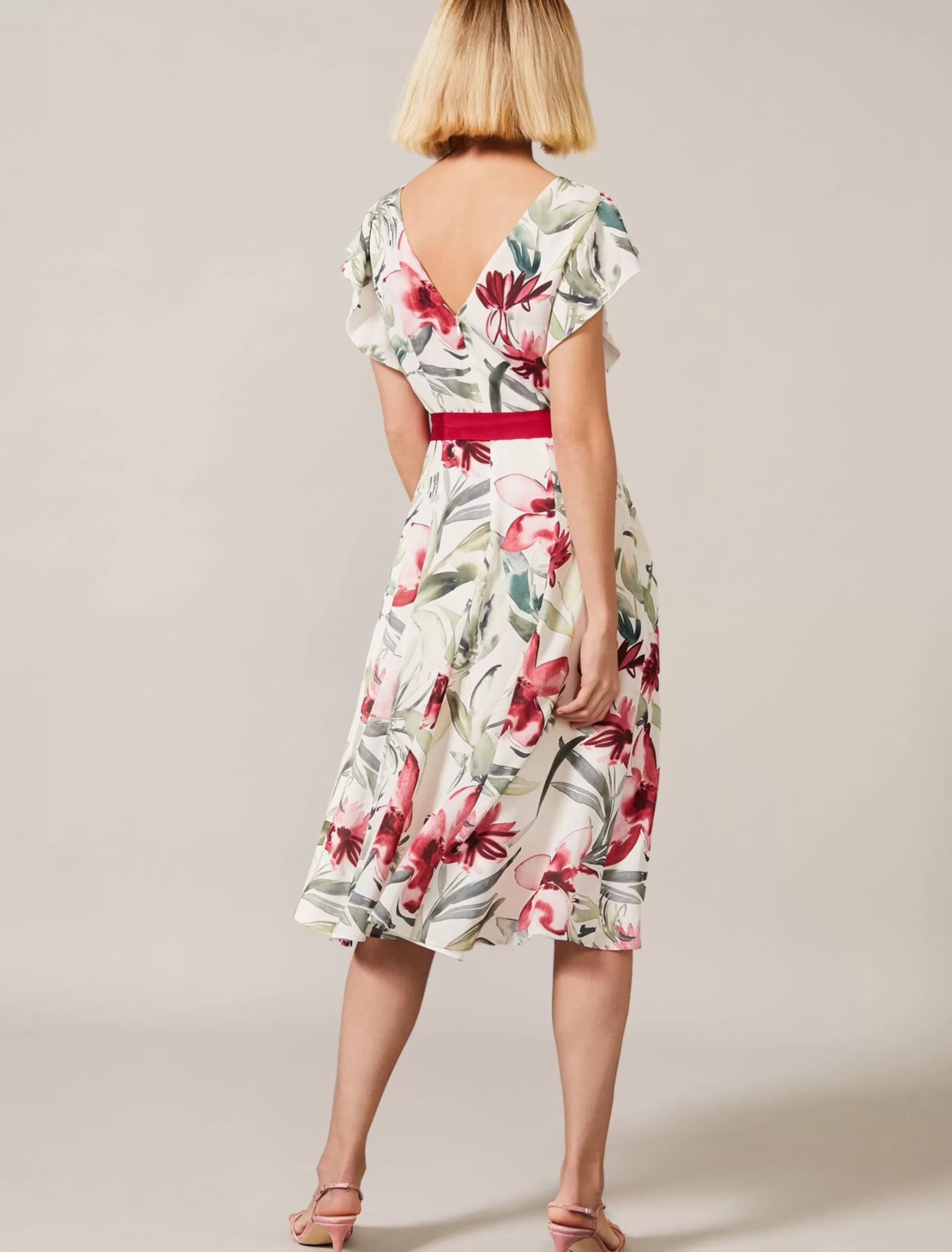 Phase Eight Carlotta Floral Dress Cream/Multi Best Sale