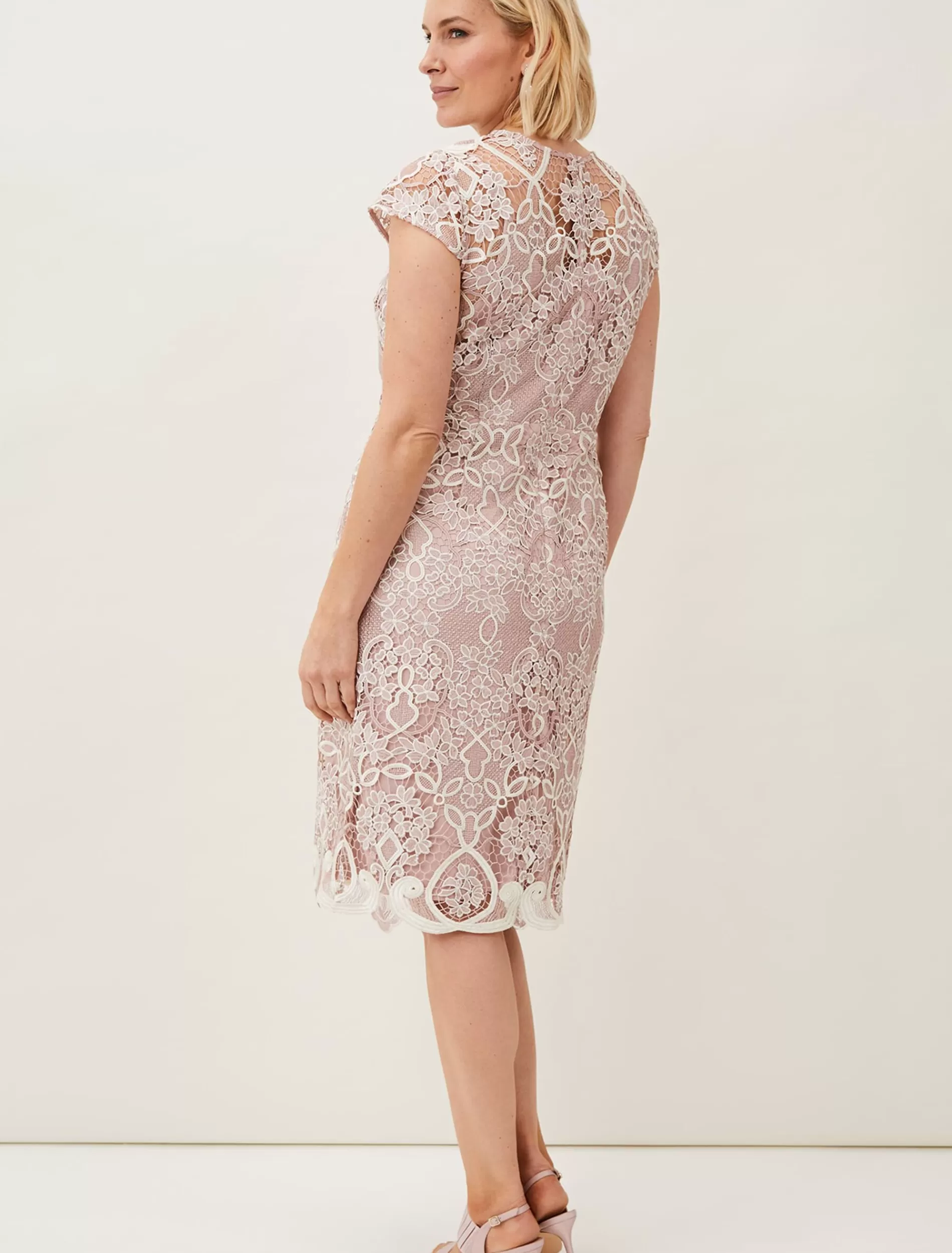 Phase Eight Frances Lace Fitted Dress Petal Discount