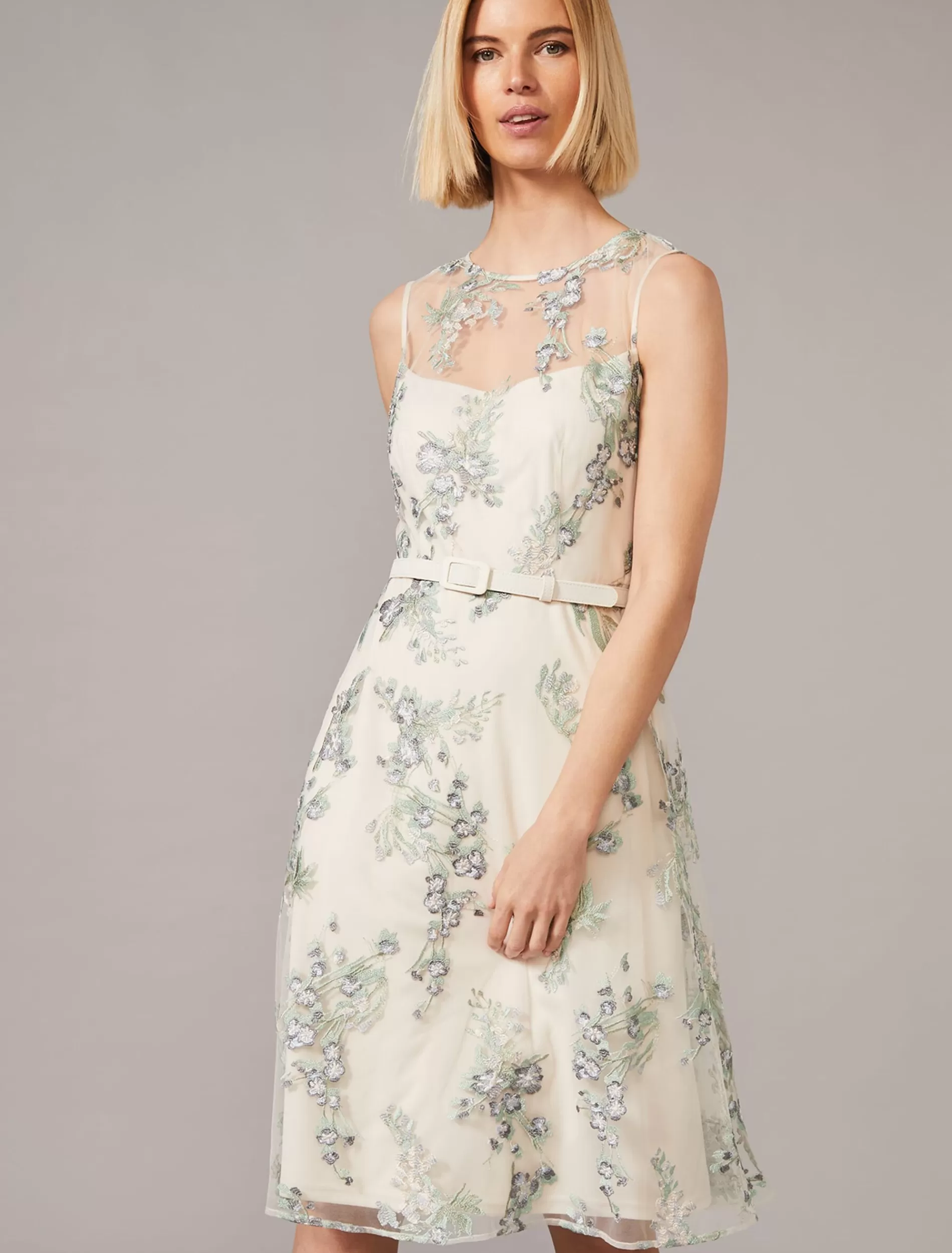 Phase Eight Lia Embroidered Fit And Flare Dress Multi-Coloured Sale